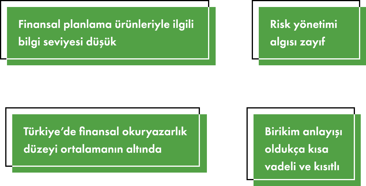 Bulgular
